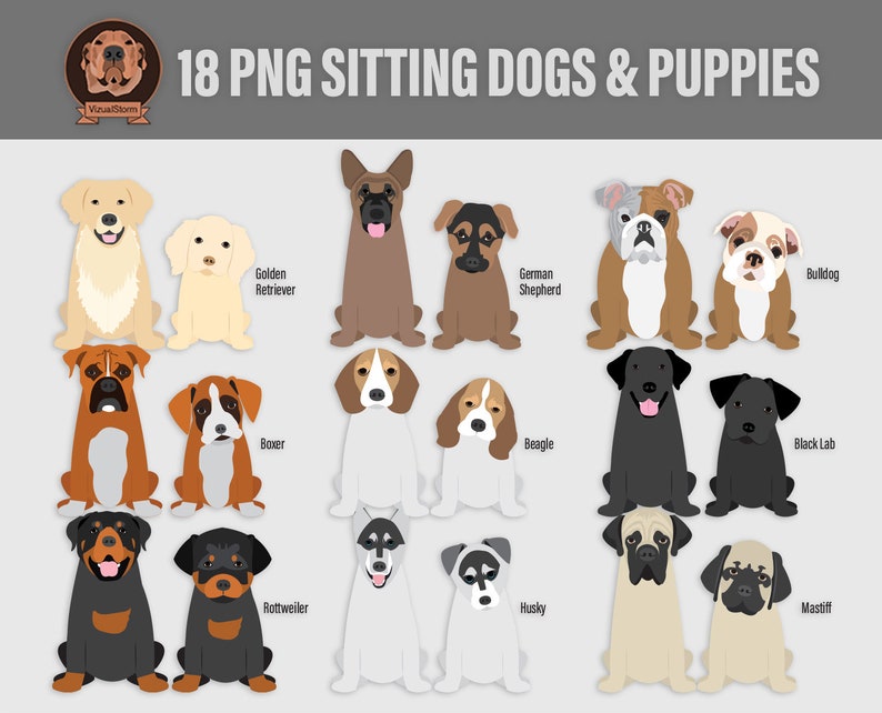 Puppies and Dogs Sitting Digital Illustrations Front View of Momma and Puppy Breeds, Hand Drawn Digital Png Pet Clip Art, Instant Download image 2