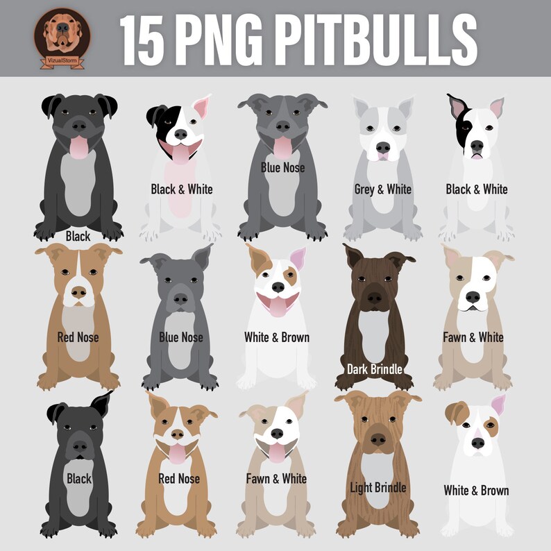 Hand Drawn Pitbull Clipart