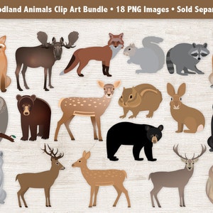 Desert Animals Clipart PNG Wildlife Clip Art Hedgehog, Antelope, Meerkat, Badger, Jackal, Kangaroo, Camel, Digital Nature Illustrations image 7