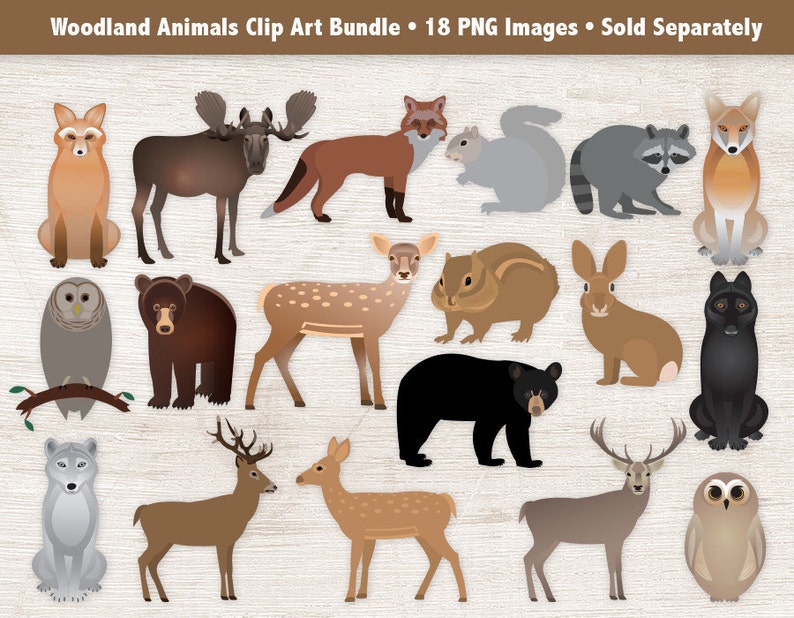 Desert Animals Clipart PNG Wildlife Clip Art Hedgehog, Antelope, Meerkat, Badger, Jackal, Kangaroo, Camel, Digital Nature Illustrations image 7