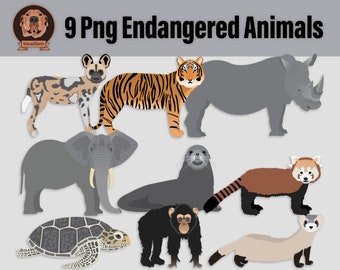 Endangered Animal Digital Illustrations - Png Wildlife Conservation Clipart, Tiger, Panda, Turtle, Ferret, Elephant, Rhino, Chimp, Sea Lion