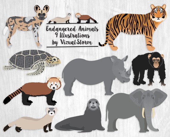 Buy Endangered Animal Species Illustrated Png Wildlife Online in India -  Etsy