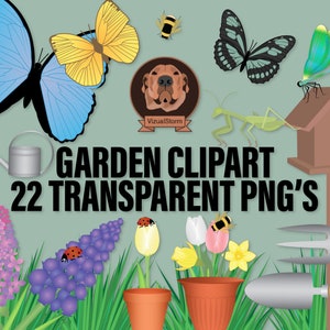 Butterflies Png Clipart Bundle Rainforest Butterfly Clip Art, Peru Insects, Blue Morpho, Swallowtail, Spring Card Making, Garden Png's image 6