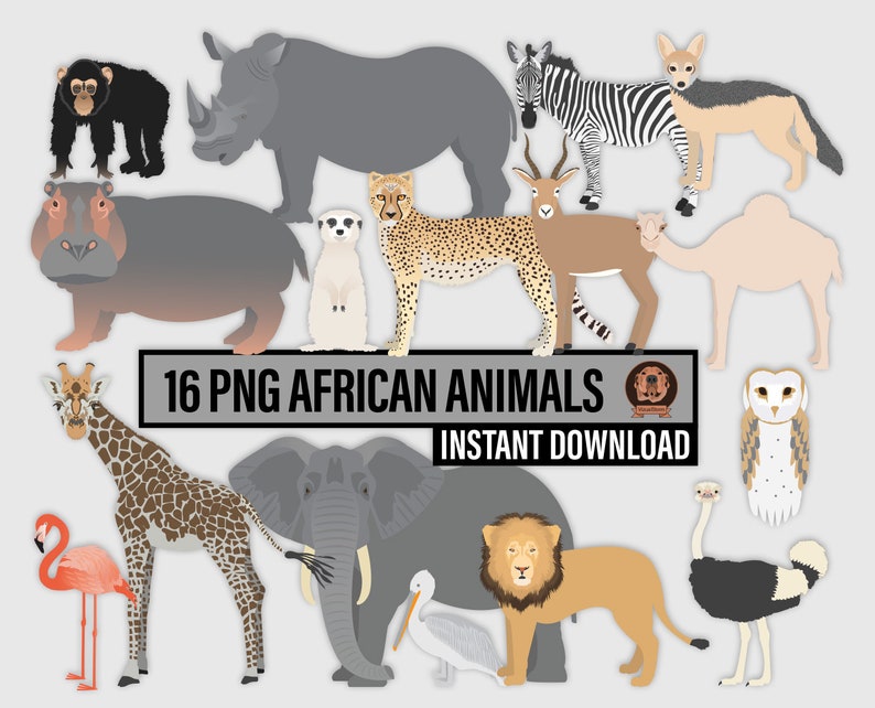 Afrikanische Tiersilhouetten, Clipart-Bundle Png Afrika Wildtiere & Pflanzenwelt, Wildtiere Clip Art, Digital Safari Illustrationen, Serengeti Bild 7