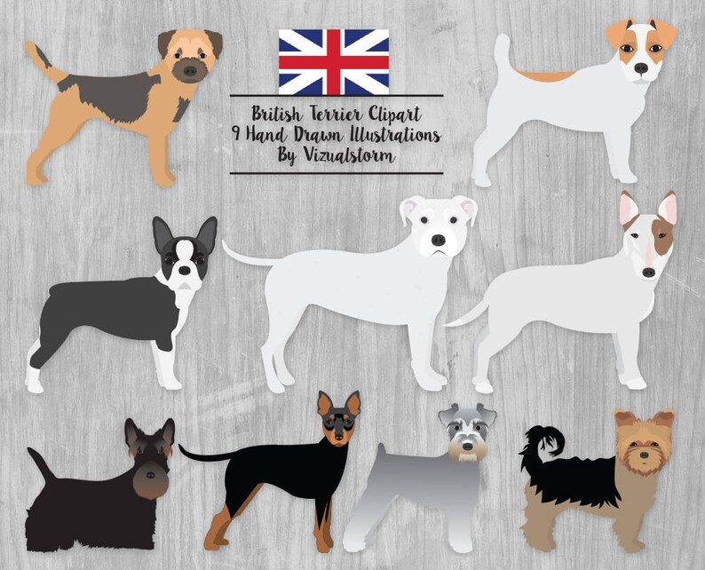 British Terrier Dog Breeds Clipart INSTANT DOWNLOAD Bull Terrier Yorky Border Jack Russel Manchester Staffy Boston Schnauzer Scotty