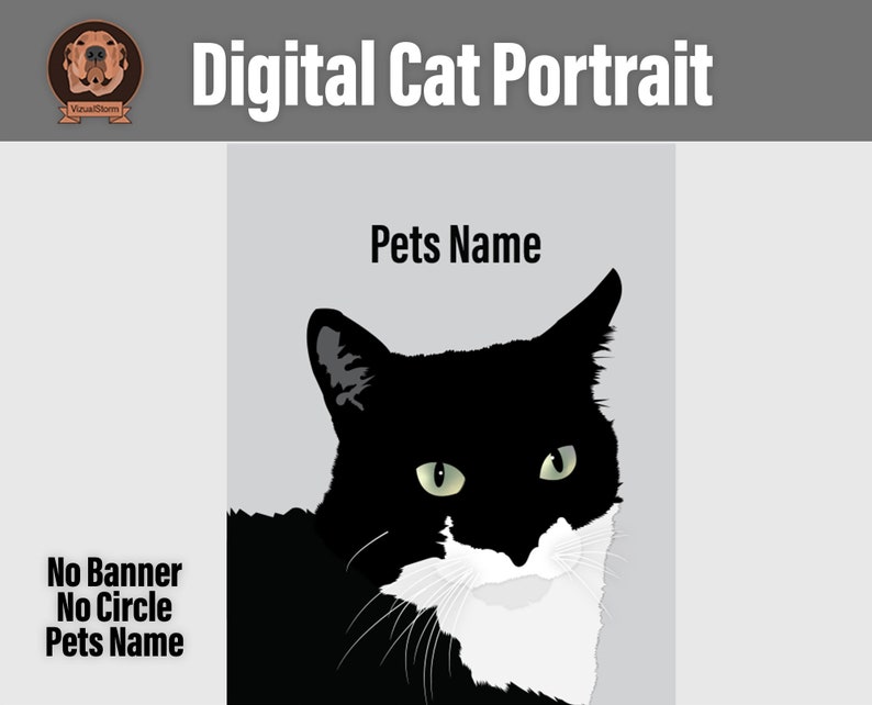 Custom Digital Cat Portrait, Hand Drawn From Photos, Personalized Pet Face Illustrations, Sympathy Gifts, Pet Memorial, Gifts For Cat Mom image 7