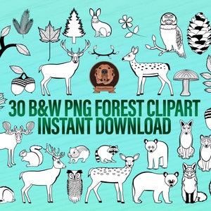 Forest Doodles Clipart Bundle - Black & White Plants and Animals For Coloring, PNG Wildlife Outlines, Hand Drawn Digital Woodland Critters