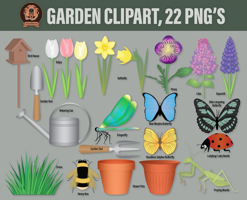 Butterfly Garden Png Bundle. Hand drawn flowers, insects, flower pots, bird house, grass, yard tools and watering can