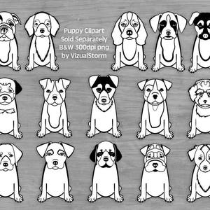 Cute Puppy Clipart Png Puppies, Labrador Retriever, English Bulldog, Baby Dog Breeds Png Clip Art Bundle, Boxer Dog, Toy Poodle, Shar Pei image 6