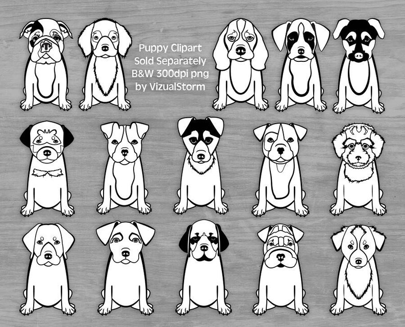 Cute Puppy Clipart Png Puppies, Labrador Retriever, English Bulldog, Baby Dog Breeds Png Clip Art Bundle, Boxer Dog, Toy Poodle, Shar Pei image 6