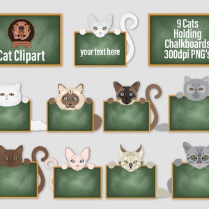 Digital Cats Holding Chalkboards Classroom Sign Clip Art for Teachers, Students or Scrapbooking Hand Drawn Png Cat Breeds image 1