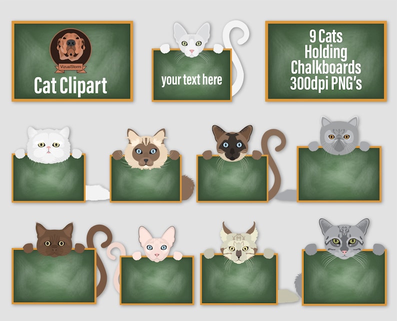 Digital Cats Holding Chalkboards Classroom Sign Clip Art for Teachers, Students or Scrapbooking Hand Drawn Png Cat Breeds image 1