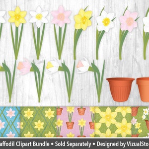 Daffodil Clipart