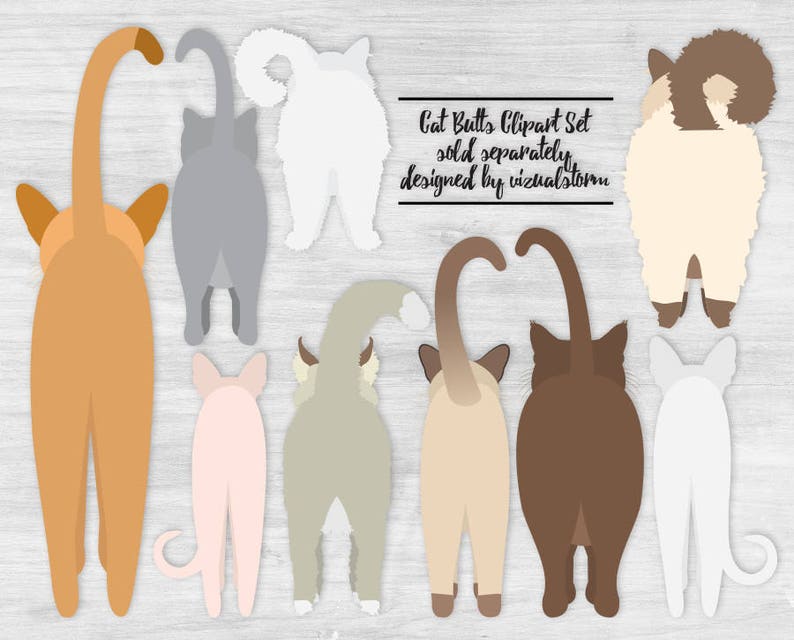 May include: A digital clipart set of ten cat butts in various colors and poses. The text "Cat Butts Clipart Set sold separately designed by visualstorm" is at the top of the image.