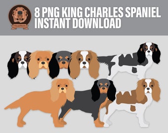 Png Cavalier King Charles Spaniels Clipart - Black and Tan, Tri Color, Ruby and Blenheim - Dog Breeds Standing and Front View Faces