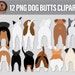 see more listings in the CATS & DOGS Png Clipart section