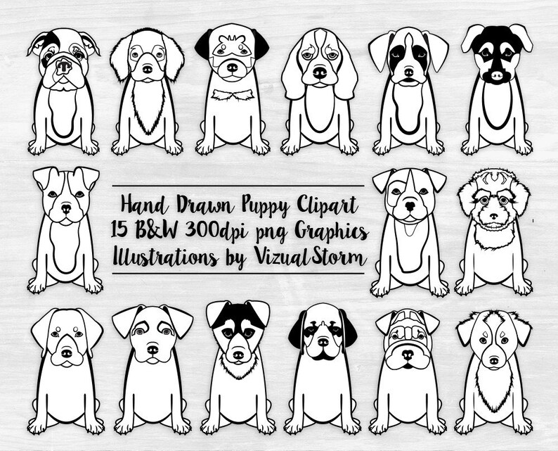 May include: A set of 15 black and white hand-drawn puppy illustrations. Each puppy is sitting down and facing forward. The illustrations are in a simple, cartoon style. Hand Drawn Puppy Clipart 15 B&W 300dpi png Graphics Illustrations by Vizual Storm