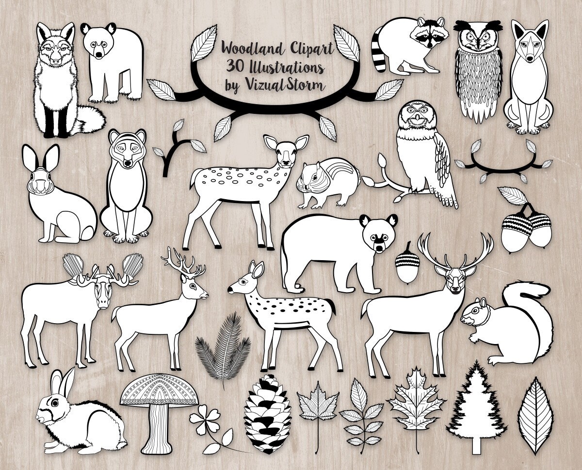 Black White Woodland Clipart Doodles Plants And Animals Etsy