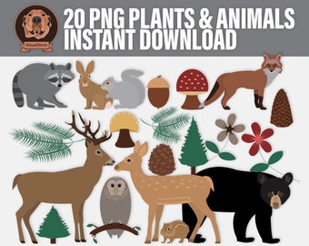 Woodland Wildlife Clipart - Digital Forest Animals with Pinecones, Mushrooms and Pine Trees, Hand Drawn Plants and Animals Craft Clip Art