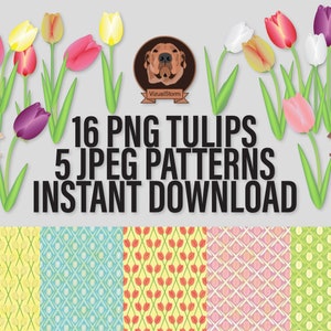 Hand Drawn Png Tulips and Tulip Digital Pattern Papers With Bird Houses. Mothers Day Clipart. Easter craft paper. Colorful floral clip art,