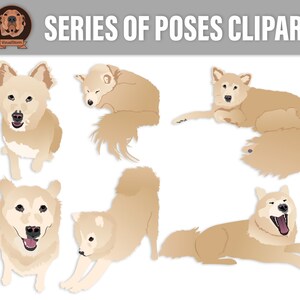 Custom dog poses illustration series
