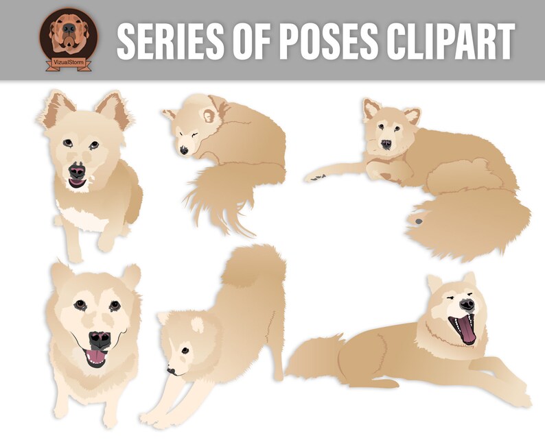Custom dog poses illustration series