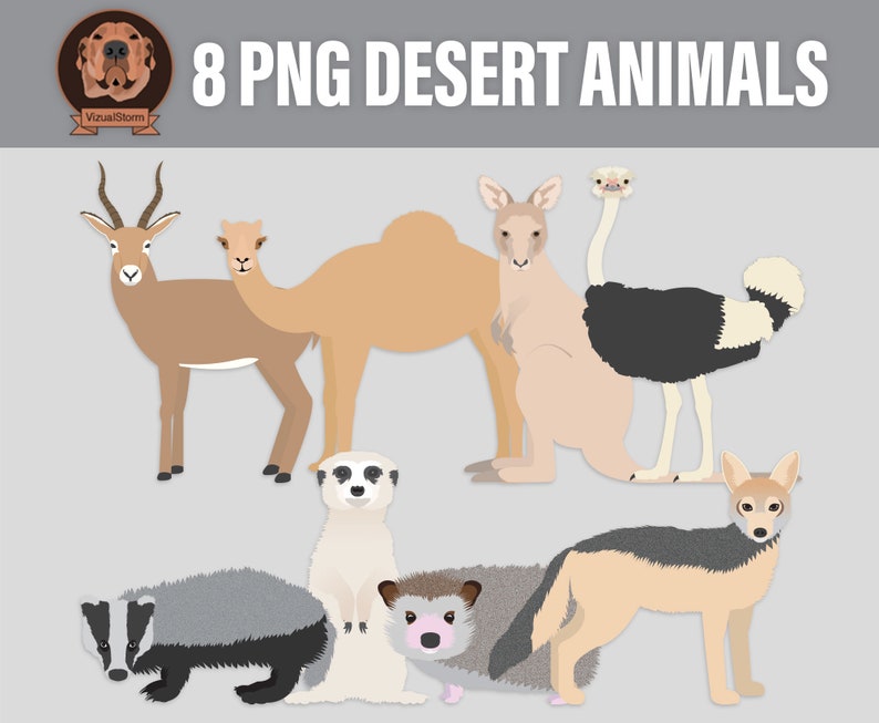 Desert Animals Clipart PNG Wildlife Clip Art Hedgehog, Antelope, Meerkat, Badger, Jackal, Kangaroo, Camel, Digital Nature Illustrations image 1