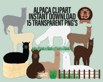 Digital Alpacas Clipart, Transparent Png's, Multiple Colors and Positions - Hand Drawn Farm Illustrations for Animal Scrapbooking and Crafts