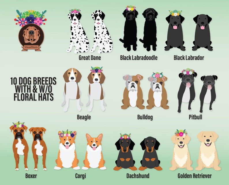Hand Drawn Colorful Png dog breeds wearing floral crowns with Golden Retriever, Black Labrador, Black Labradoodle, Beagle, Black Pitbull, Black & Tan Dachshund, B&W Great Dane, Bulldog, Corgi, Boxer