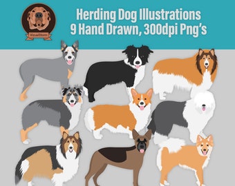 Png Herding Dog Breeds Clipart - Shepherd's, Collie's, Sheepdogs, Corgi and Cattle Dog - Digital Hand Drawn Pet Illustrations