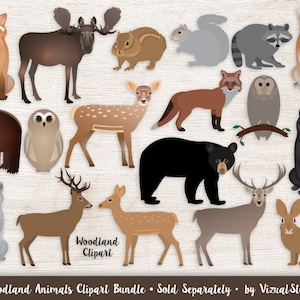 Woodland Animal Digital Paper 10 Printable Forest Patterns for Nature Scrapbooking and Crafts with Bear, Deer, Bunny, Moose, Owl and Trees image 8