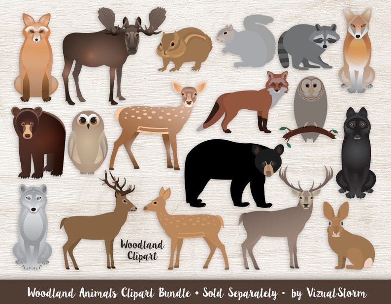 Woodland Animal Digital Paper 10 Printable Forest Patterns for Nature Scrapbooking and Crafts with Bear, Deer, Bunny, Moose, Owl and Trees image 8