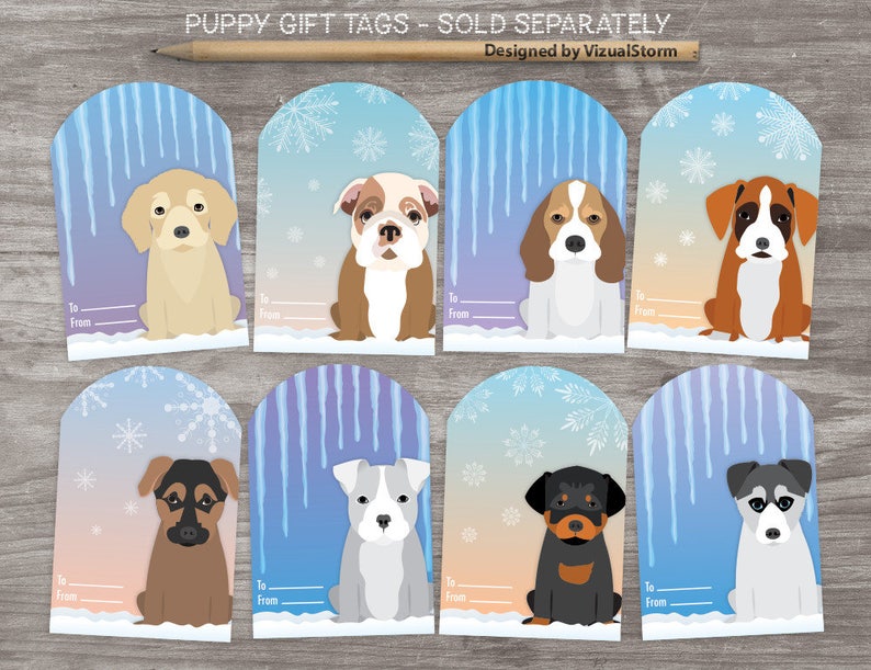 Cute Puppy Clipart Png Puppies, Labrador Retriever, English Bulldog, Baby Dog Breeds Png Clip Art Bundle, Boxer Dog, Toy Poodle, Shar Pei image 8