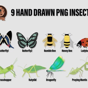 Png Insects CLipart Bundle