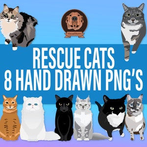 Png Cat Clipart
