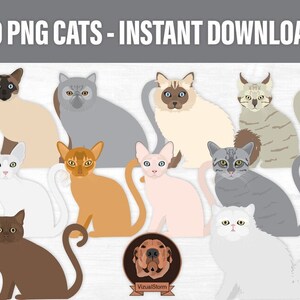 May include: A digital illustration of 10 different cats in various poses. The cats are all cartoon-style and have different fur colors and patterns. The image is set against a white background.