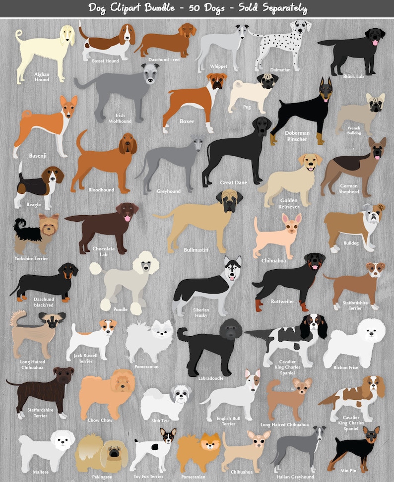 British Terrier Dog Breeds Clipart INSTANT DOWNLOAD Bull Terrier Yorky Border Jack Russel Manchester Staffy Boston Schnauzer Scotty