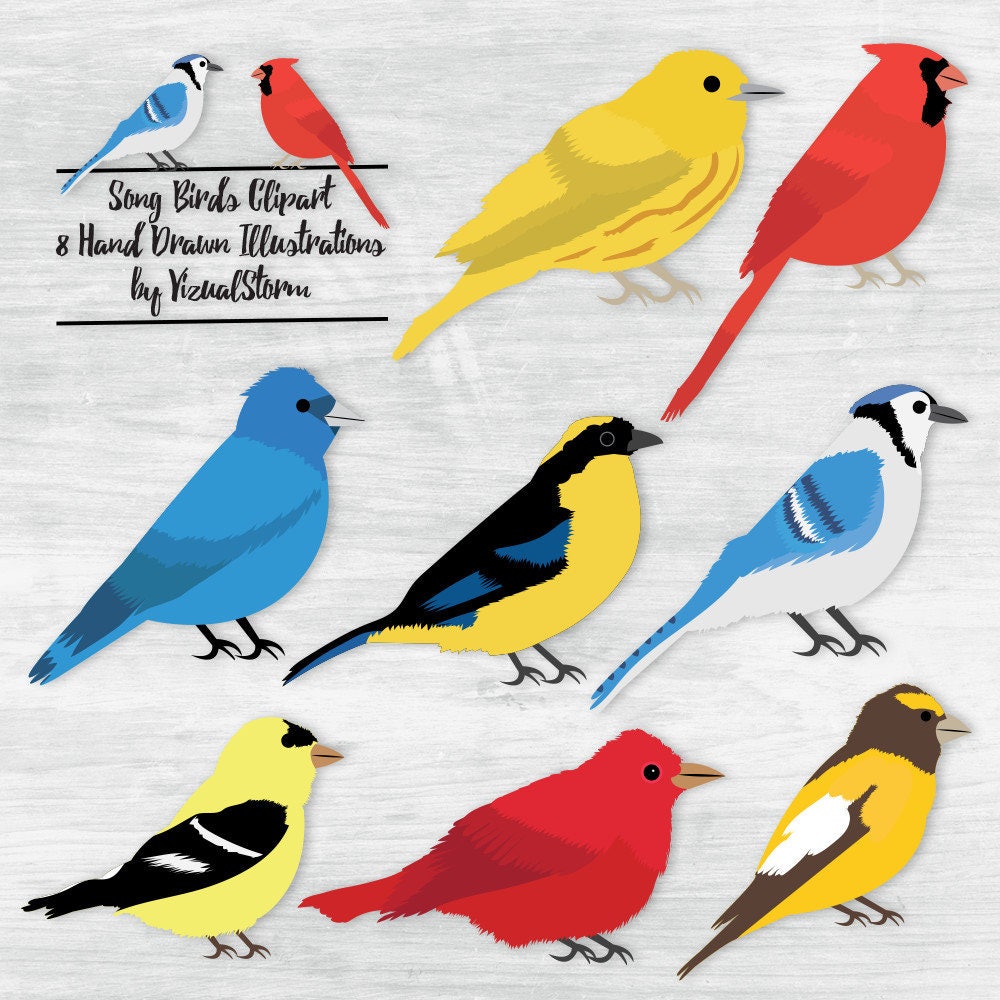 Download Woodland Animals Clipart Bundle Forest Animal Graphics | Etsy
