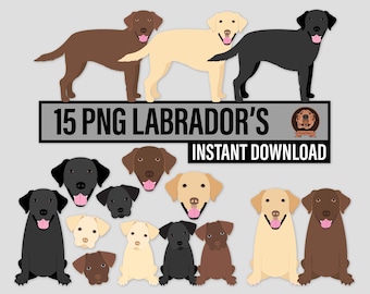 Png Labrador Retriever Clipart, Sitzen, Stehen und Porträts, Schwarz, Schokolade und Gelb Labrador Welpen und Erwachsene Hunderassen Illustrationen