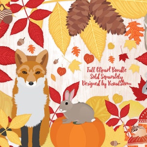Download Woodland Animals Clipart Bundle Forest Animal Graphics | Etsy