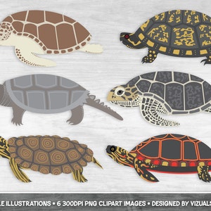 Black-Line Turtles Png Tortoise Line Art for Scrapbooking, Coloring or Marine Animal Crafts, Outlines of Turtles Hand Drawn Sea Life image 3