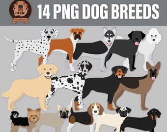 Digital Dog Breeds Png - French Bulldog Labrador Dachshund Rottweiler Dalmatian Poodle Boxer Pug Beagle Husky Yorkie - Popular Pet Clipart