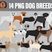 see more listings in the CATS & DOGS Png Clipart section
