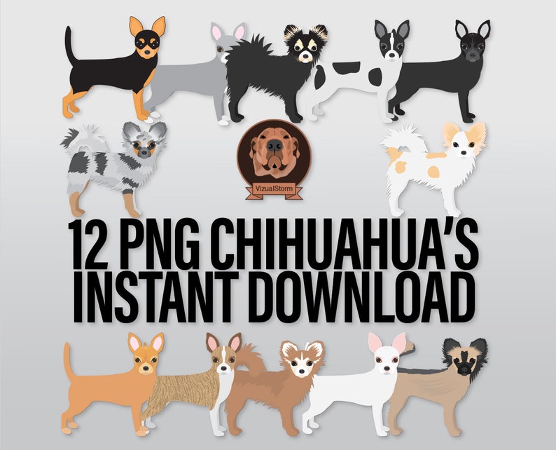 K&ouml;nnte beinhalten: Zw&ouml;lf digitale Illustrationen von Chihuahua-Hunden in verschiedenen Posen und Farben. Die Hunde sind alle im Cartoon-Stil gehalten und haben gro&szlig;e, ausdrucksstarke Augen. Das Bild enth&auml;lt den Text "12 PNG Chihuahua's Instant Download".