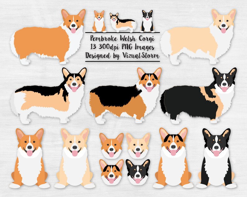 Pembroke Welsh Corgi Clipart Red and White Fawn Sable Black | Etsy