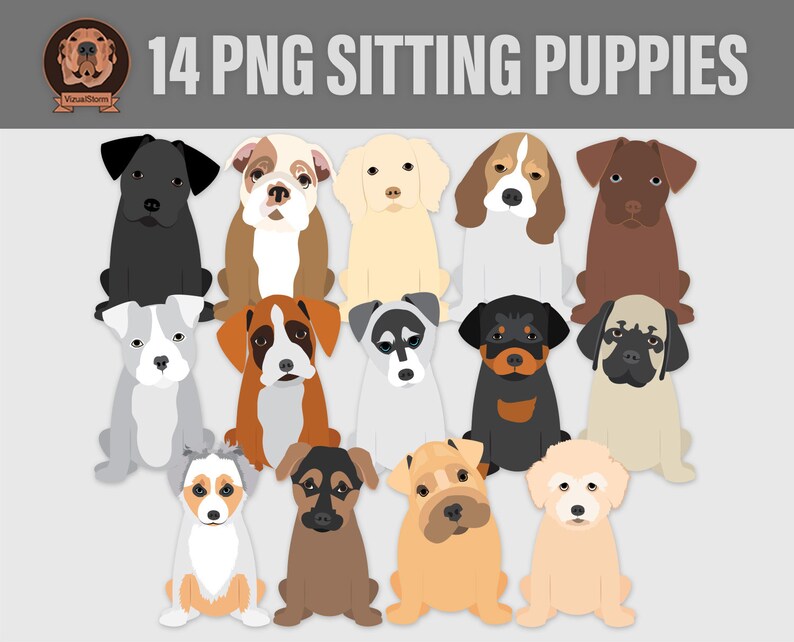 May include: 14 PNG images of sitting puppies in various breeds and colors. The puppies are all facing forward and have a cartoon-like style.