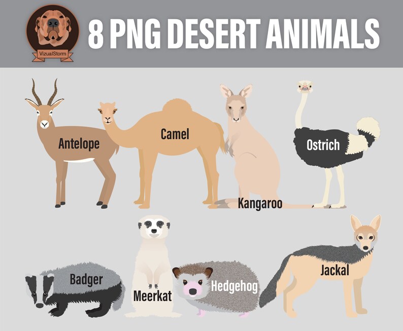 Desert Animals Clipart PNG Wildlife Clip Art Hedgehog, Antelope, Meerkat, Badger, Jackal, Kangaroo, Camel, Digital Nature Illustrations image 2