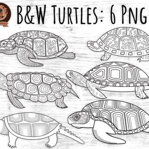 Black-Line Turtles Png Tortoise Line Art for Scrapbooking, Coloring or Marine Animal Crafts, Outlines of Turtles Hand Drawn Sea Life image 1