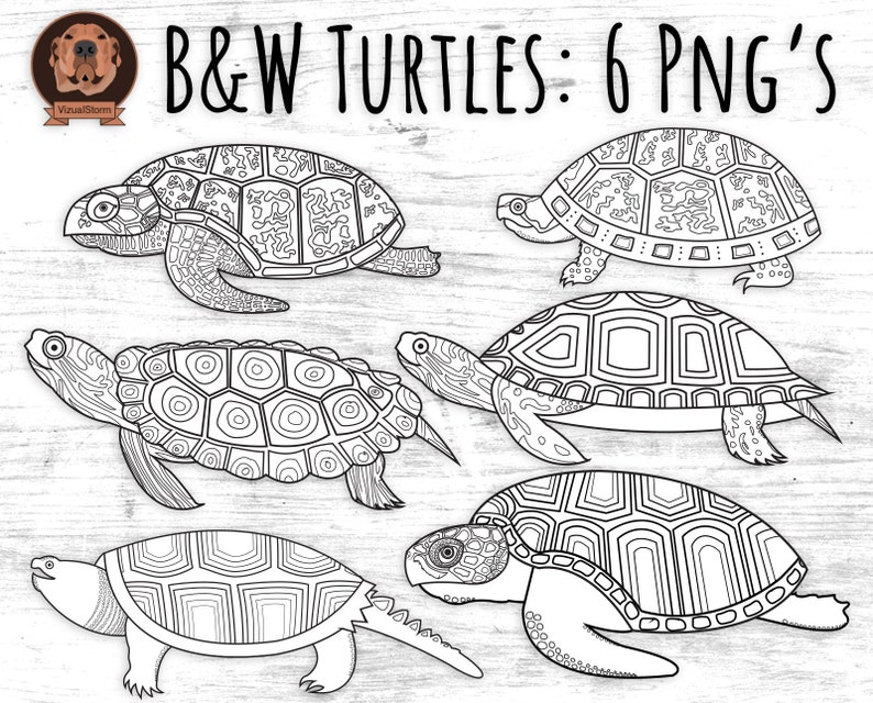 Black-Line Turtles Png Tortoise Line Art for Scrapbooking, Coloring or Marine Animal Crafts, Outlines of Turtles Hand Drawn Sea Life image 1