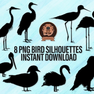 Vogel-Silhouetten Png - Digitale Ufervögel Clip Art, Weißkopfseeadler, Schwan, Pelikan, Amerikanischer Flamingo, Holzente, Blauer Reiher, Reiher